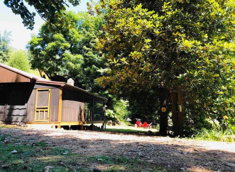 Cabin At The Cove At Watauga Lake Butler Exteriér fotografie