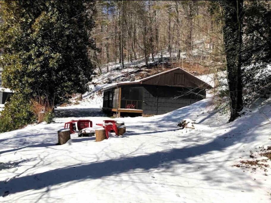 Cabin At The Cove At Watauga Lake Butler Exteriér fotografie